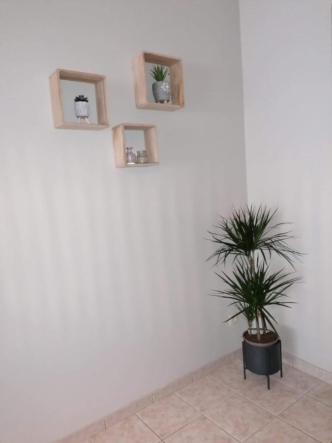 Superbe Appartement De 65M2 A 6061 Montignies-Sur-Sambre シャルルロワ エクステリア 写真